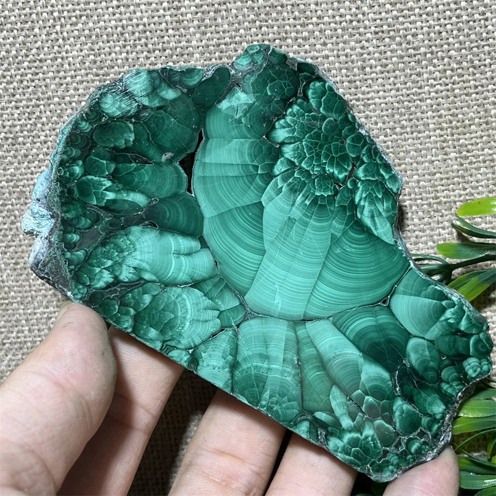 Natural Malachite Slab Flower  Slice Crystal Stone Quartz Beauty Minerals Reiki  Healing Spiritual Stripe Home Decoration
